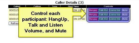 Conference Control Web Mute
